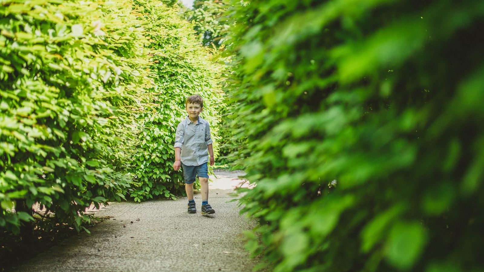 Boy walking through maze at Carnfunnock